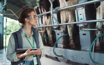 Importance of Quality Management in the Dairy Industry