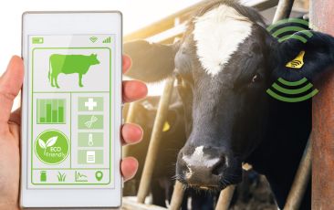 Sustainable Dairy Software for Eco-Friendly Processing